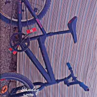 دوچرخه 20 4/500