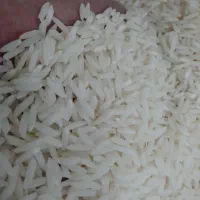 طارم فریدونکنار|خوردنی و آشامیدنی|قم, باسکول|دیوار