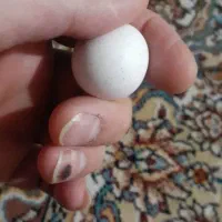 سنگ الماس هگزاگونال