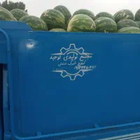 فروش فوری هندوانه تماس بگیرید