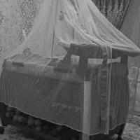 سیسمونی|کالسکه و لوازم جانبی|تهران, جمهوری|دیوار