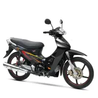 موتور بیکلاج کویر