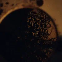 اجاره