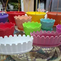 گلدون در حد نو