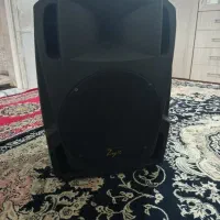 باند اکتیو  15 اینچ