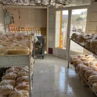 استاد کار فانتزی با حقوق عالی