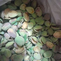 پوست بادام
