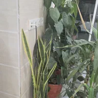 رهن-اجار-مغازه