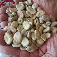 درجه یک تمیز