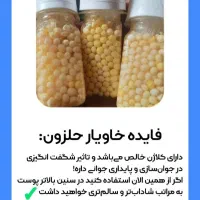 تولید و فروش خاویار حلزون|خزنده|قروه, |دیوار