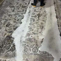 استخدام نیروی کار قالیشویی