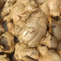 زنجبیل تایلندی|خوردنی و آشامیدنی|اصفهان, نیروگاه|دیوار