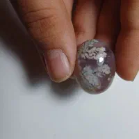 نگین شجر|جواهرات|مشهد, فارغ التحصیلان|دیوار