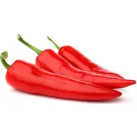 فروش فلفل قرمز تندتازه  تر وخشک محلی تناژ بالا