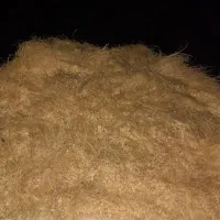 یونجه و هوع‌ دورا