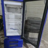 یخچال|یخچال و فریزر|شیراز, شهرک مدرس|دیوار