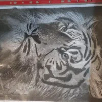 نقاشی