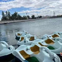 زمین جنب بوستان جوان اتوبان امام علی