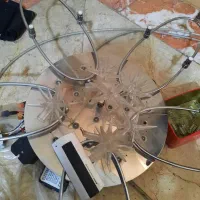 لوسر ۵ شاخه