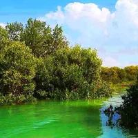 تور چابهار|تور و چارتر|تهران, امیریه|دیوار