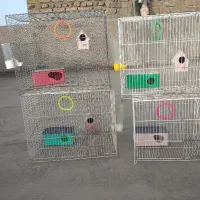 قفس پرنده|لوازم جانبی حیوانات|مشهد, کوشش|دیوار