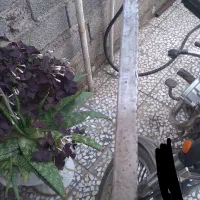 چاقوی بزرگ|ابزارآلات|املش, |دیوار