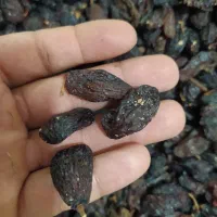 کشمش خوراکی و ضایعات|خوردنی و آشامیدنی|زرندیه, |دیوار