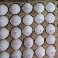 تخم مرغ نوکی شکسته ،کیک پزی، قنادی