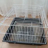 قفس