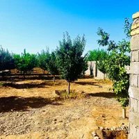 باغات-میوه-شاهنامه-گوارشک-دیاکواقساطی-بدون-واسطه