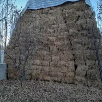 علف و یونجه