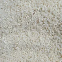 نیم دانه ریز دمسیاه|خوردنی و آشامیدنی|کوچصفهان, |دیوار