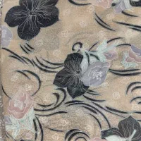 چادر مجلسی|لباس|صوفیان, |دیوار