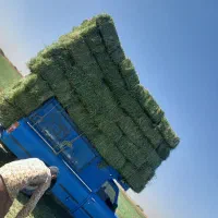 یونجه انباری|خدمات باغبانی و درختکاری|سبزوار, قلعهنو دهزار|دیوار