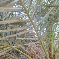 اجاره روزانه اتاق70متری پارکینگ دار