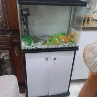 آکواریوم شرکتی دلسا و میز