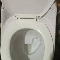 توالت فرنگی