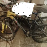 دوچرخه ویوا