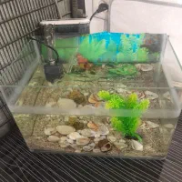 آکواریوم زیبا با پمپ آبشاری کامل