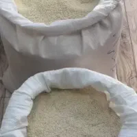 فروش ویژه برنج به مدت محدود