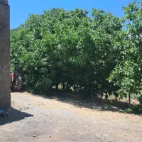 فروش خانه ویلایی روستای دربند ۲۰۰۰ متری ۱ خوابه|فروش خانه و ویلا|ازنا, |دیوار