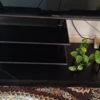 زیر تلویزیونی