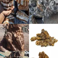 انواع اکواریوم،تجهیزات شور و شیرین|ماهی|کرمانشاه, |دیوار