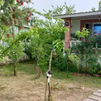 ویلا شهرکی۲خواب تخلیه جنگلی حیاط سازی درختان میوه