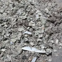 حدود ده تا گونی فضله کبوتر بدونه آشغال|خدمات باغبانی و درختکاری|لنجان, |دیوار