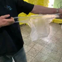 نایلکس