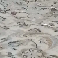 انگشترسکه گردبند