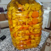 ترشی گل کلم. خونگی|خوردنی و آشامیدنی|نجفآباد, جلال آباد|دیوار