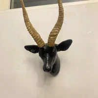 مجسمه