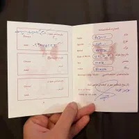 گربه بریتیش مشکی همراه با کوله‌ی حمل گربه‌وظرف غذا|گربه|لاهیجان, مهرگان|دیوار